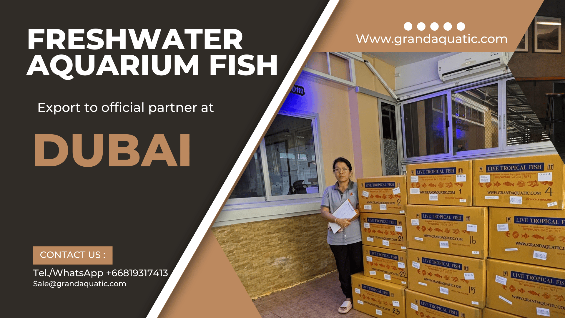 shipment export aquarium fish to Dubai