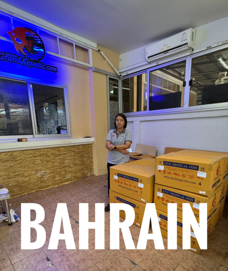 aquarium fish exporter