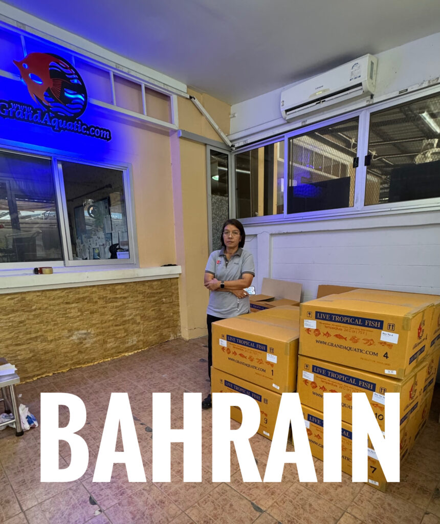 aquarium fish exporter