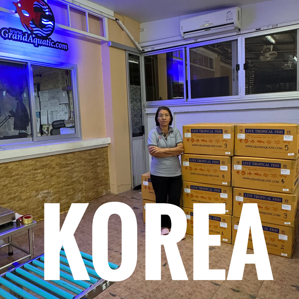 Quality of Tropical Ornamental Aquarium Fish Export to Korea