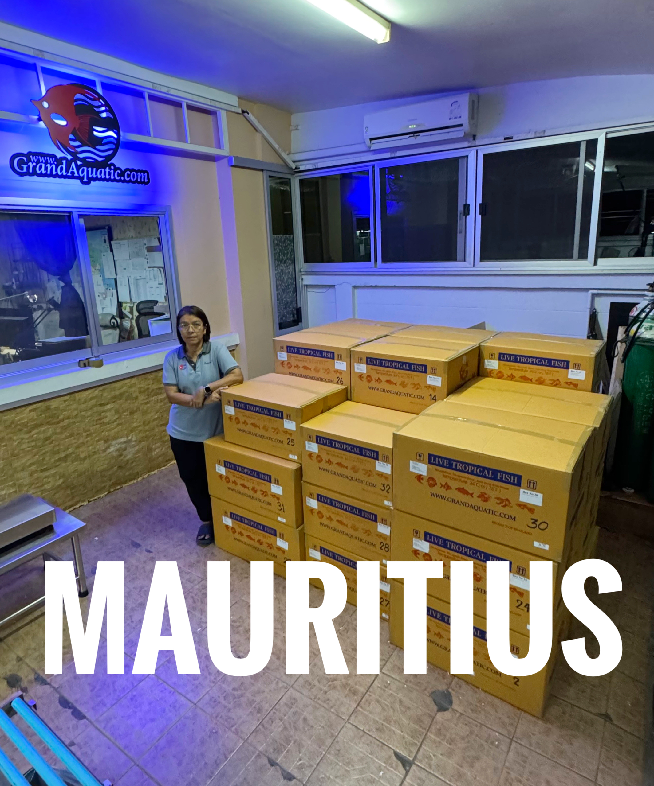 Ornamental fish export thailand