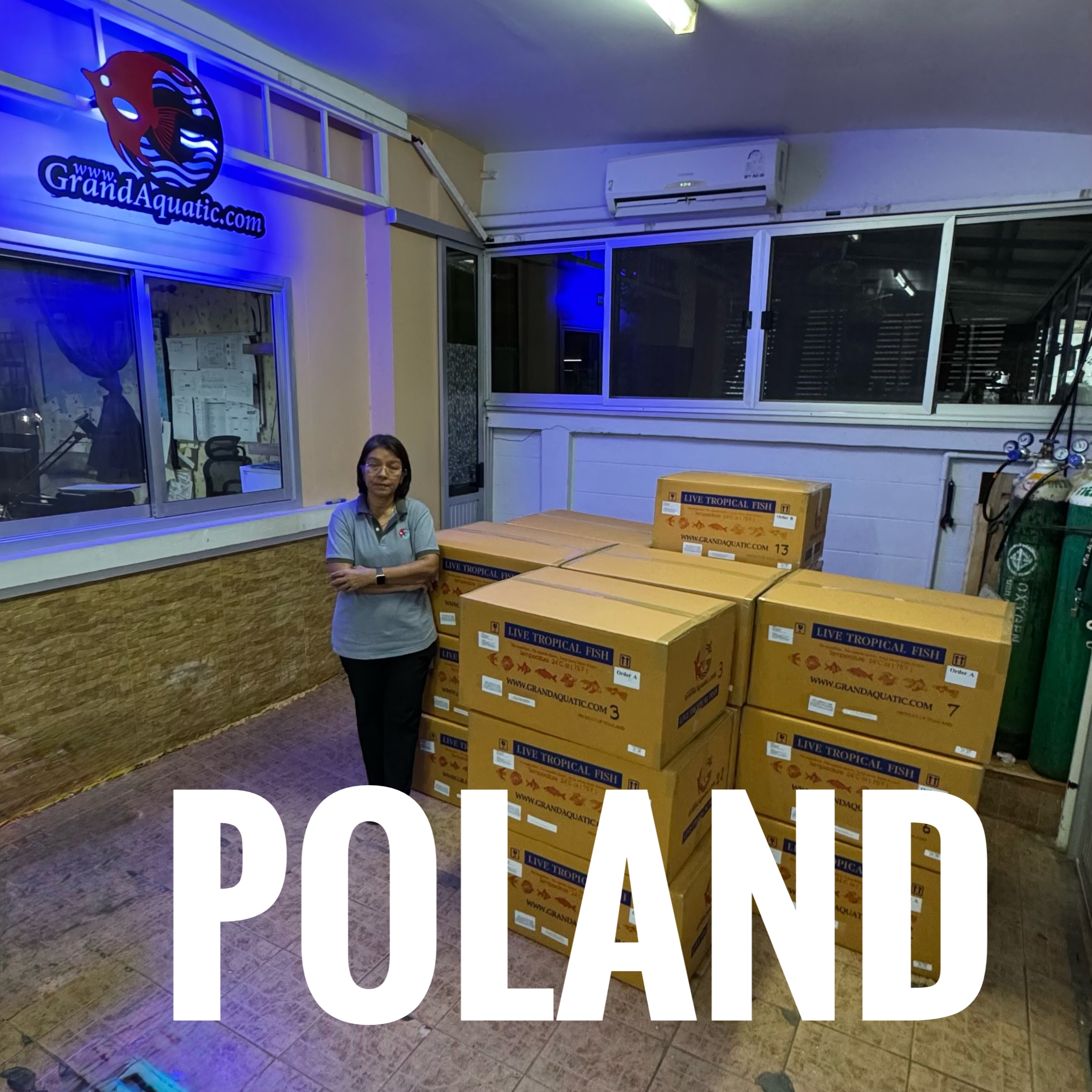 Trusted Freshwater Ornamental Fish Export from Thailand to Poland – By Bangkok Aqua Plus Co., Ltd