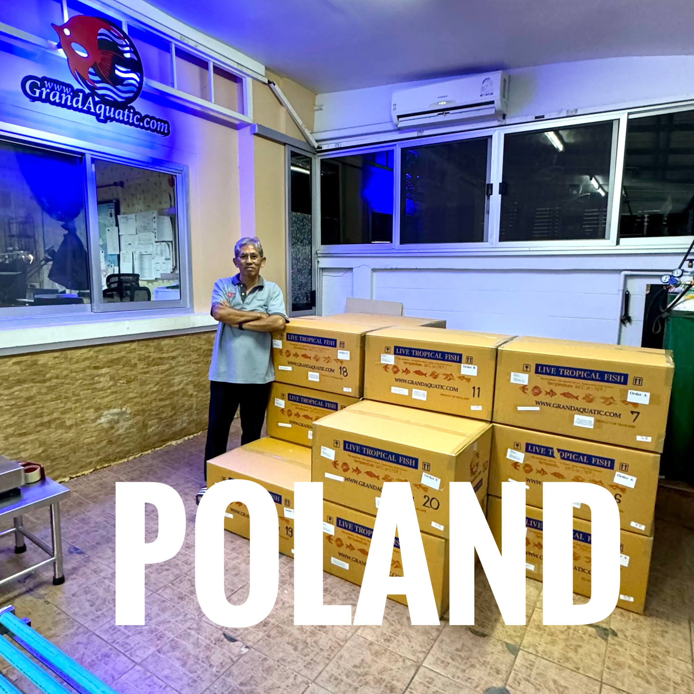 Trusted Tropical Ornamental Fish Exporter from Thailand – Professional Service