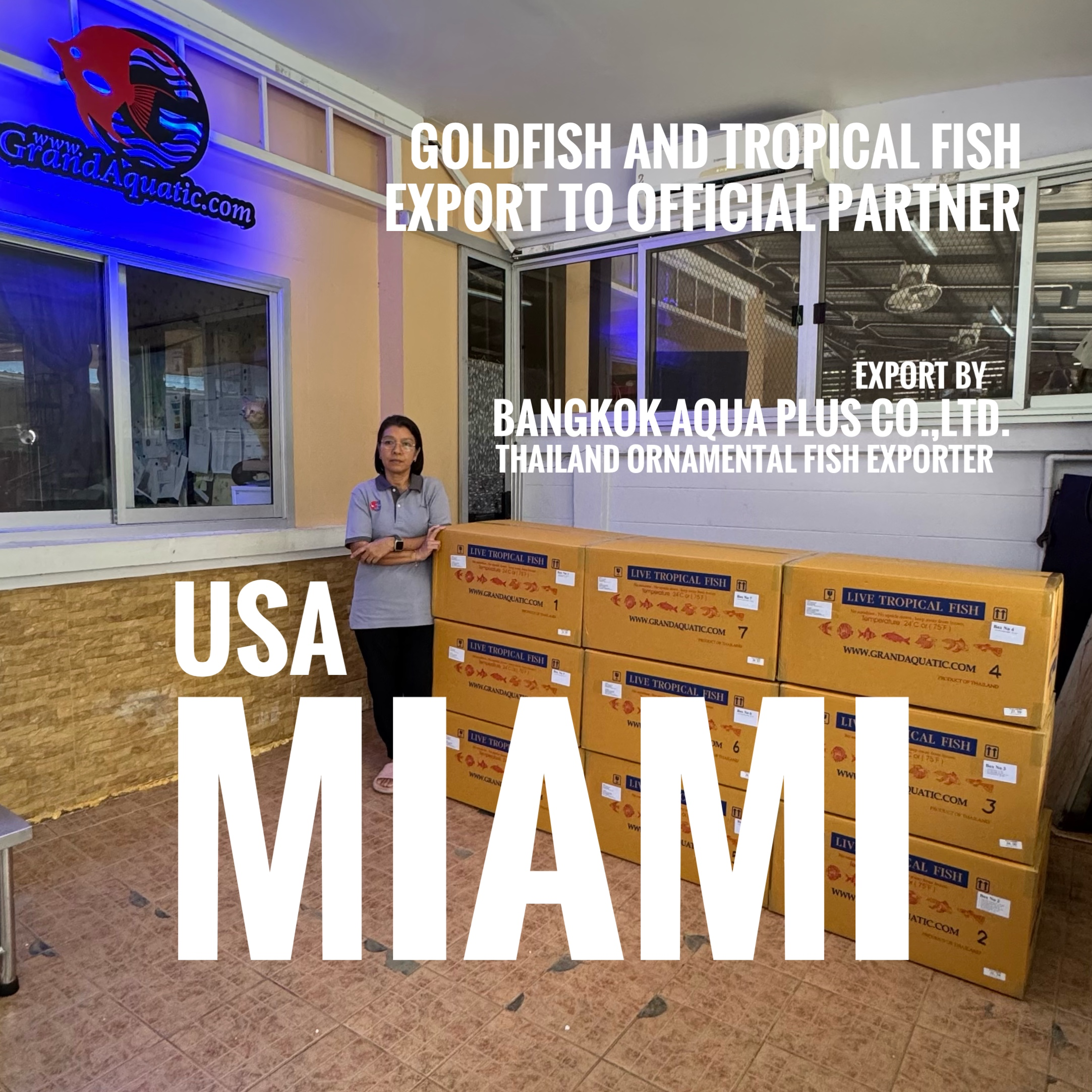 High Quality Oranda Goldfish & Ornamental Fish Export from Thailand to Miami, USA