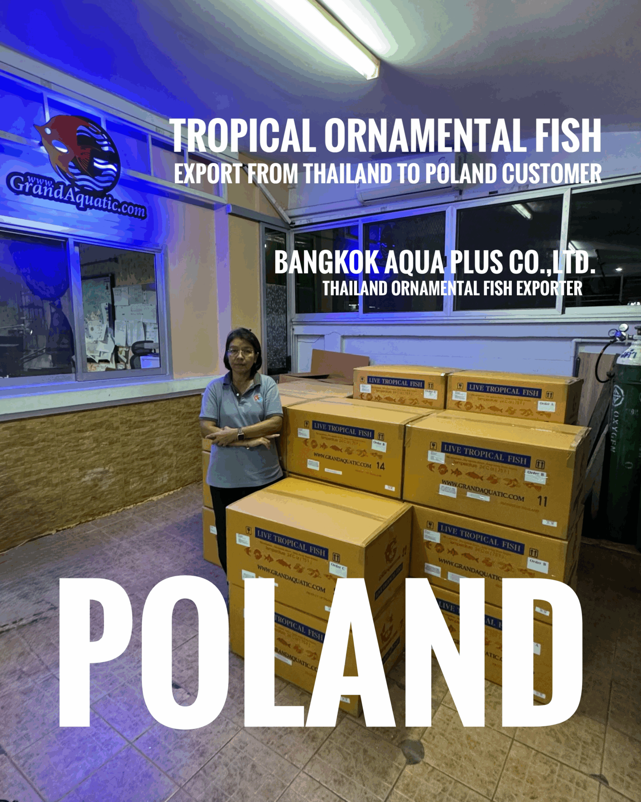 Tropical fish export from Thailand