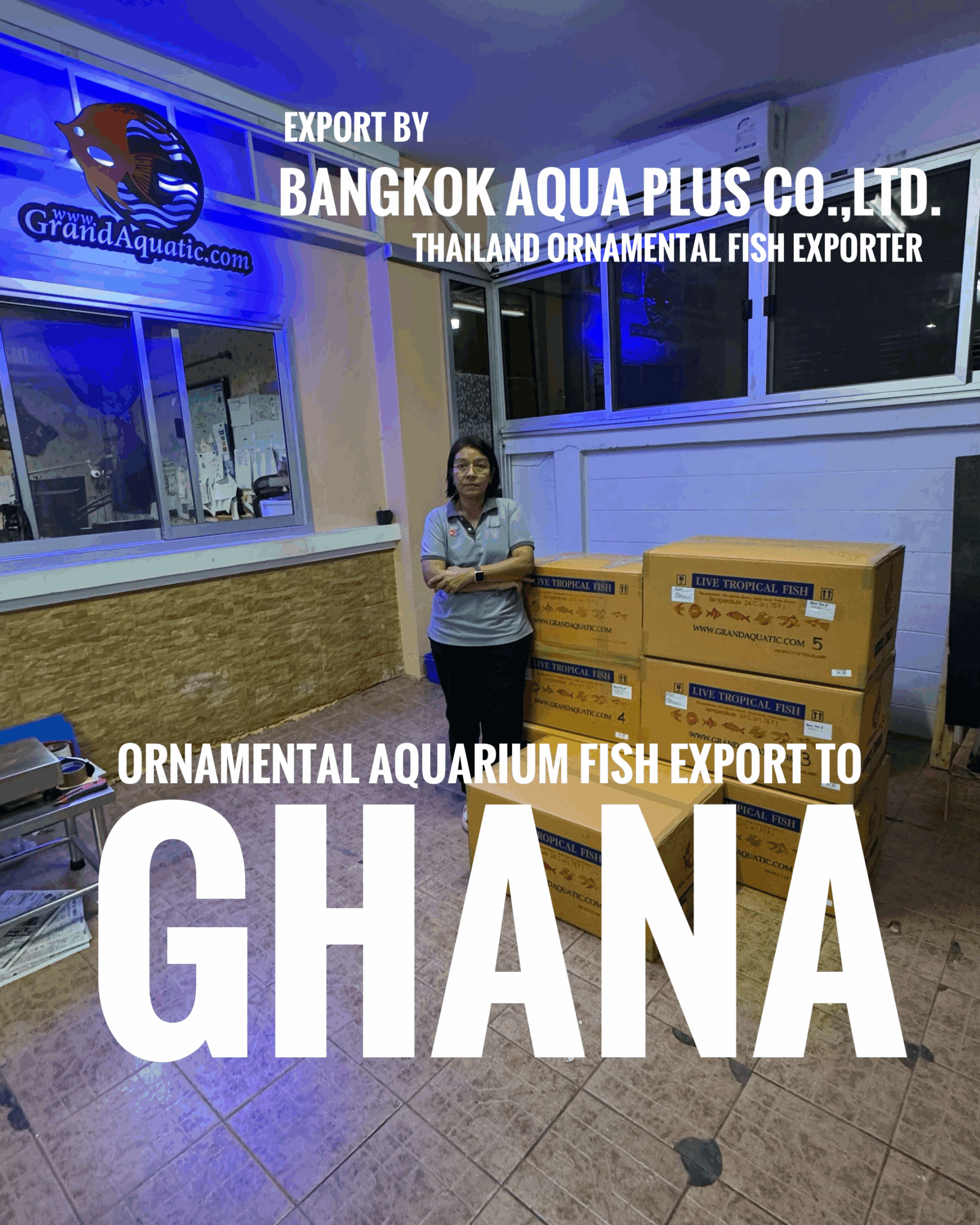 Thailand tropical fish exporter