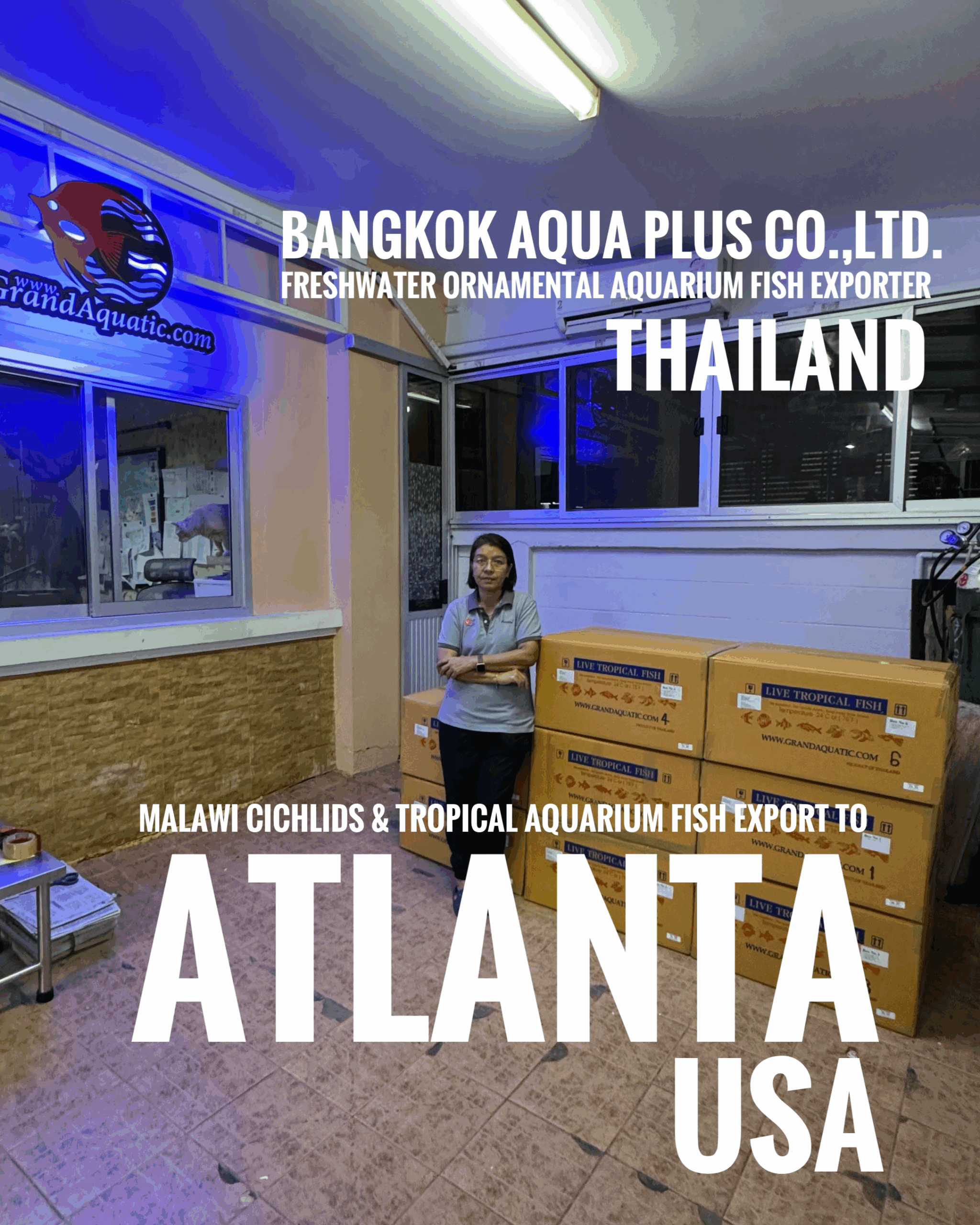 Malawi Cichlids export to USA