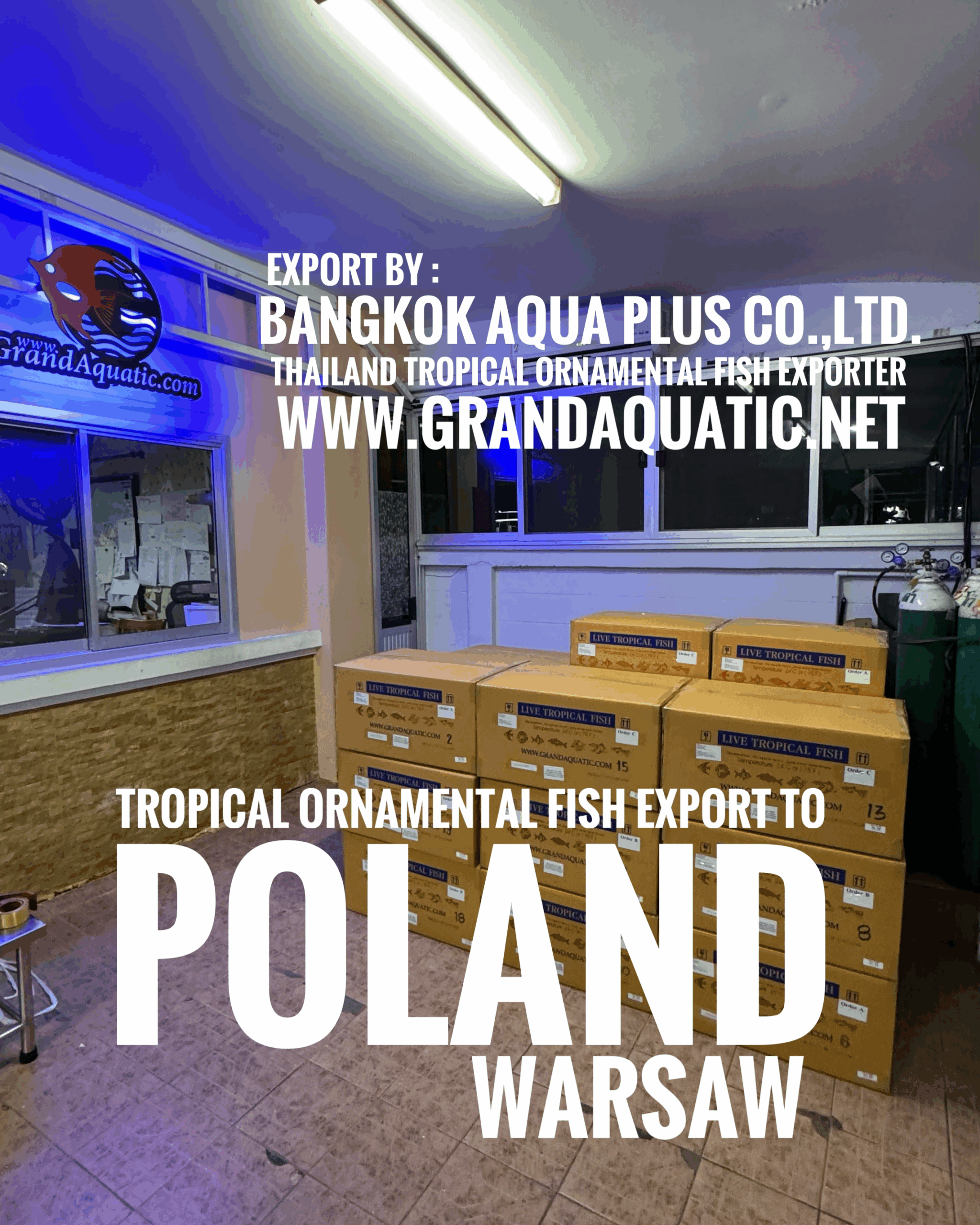 High-Quality Freshwater Ornamental Fish Export to Official Partner in Warsaw, Poland