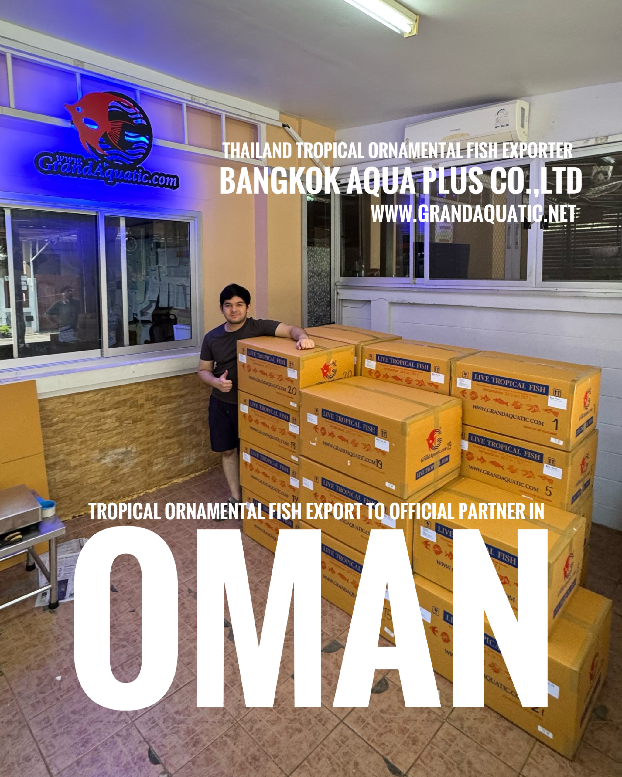 Reliable Ornamental Fish Export from Thailand to Oman in a Critical Moment